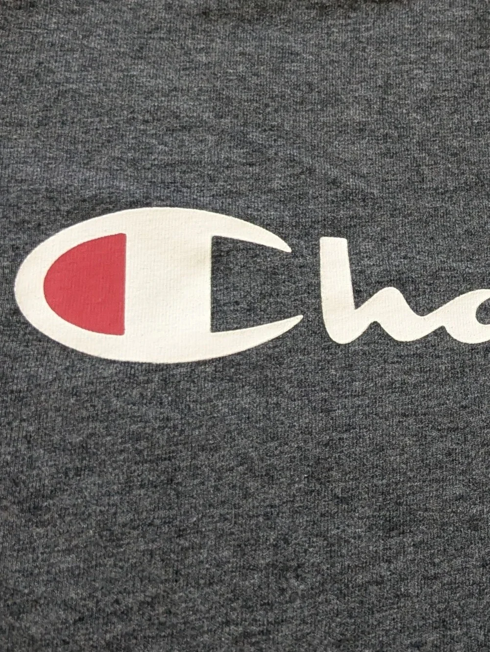 Champion Big Boys T-shirt and Shorts Outfit (Size L/14/16)